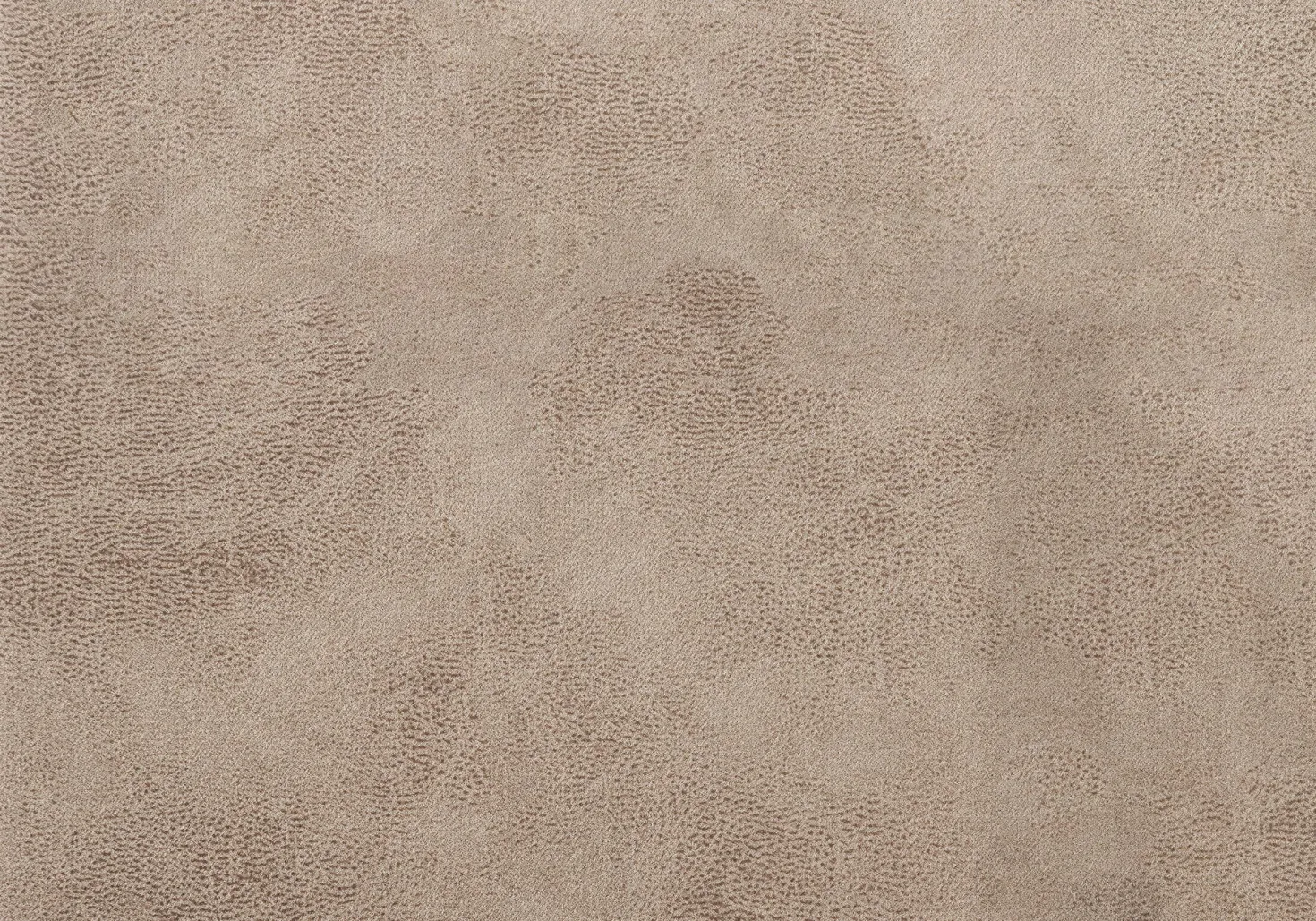 Chaises avec piètement araignée noir (bte de 2) - taupe - Monarch