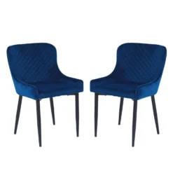 Chaises rembourrées (bte de 2) - bleu