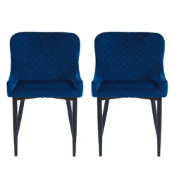 Chaises rembourrées (bte de 2) - bleu