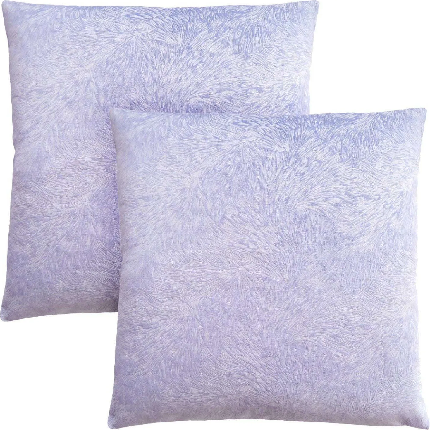 Ensemble de 2 coussins décoratifs en velours 18"
