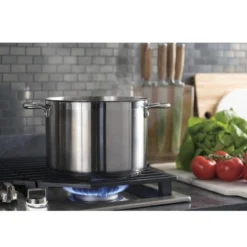 GE Profile Table de cuisson Gaz Acier inoxydable 30