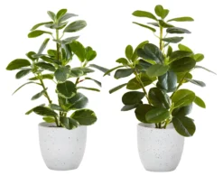 Plante artificielle 14" (boîte de 2)