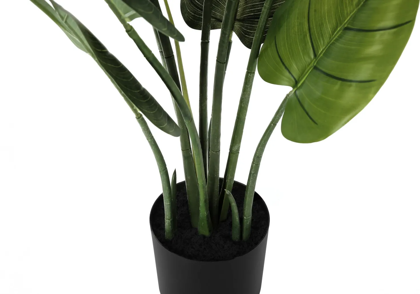 Plante artificielle - 37"H, aureum intérieur pot 6"