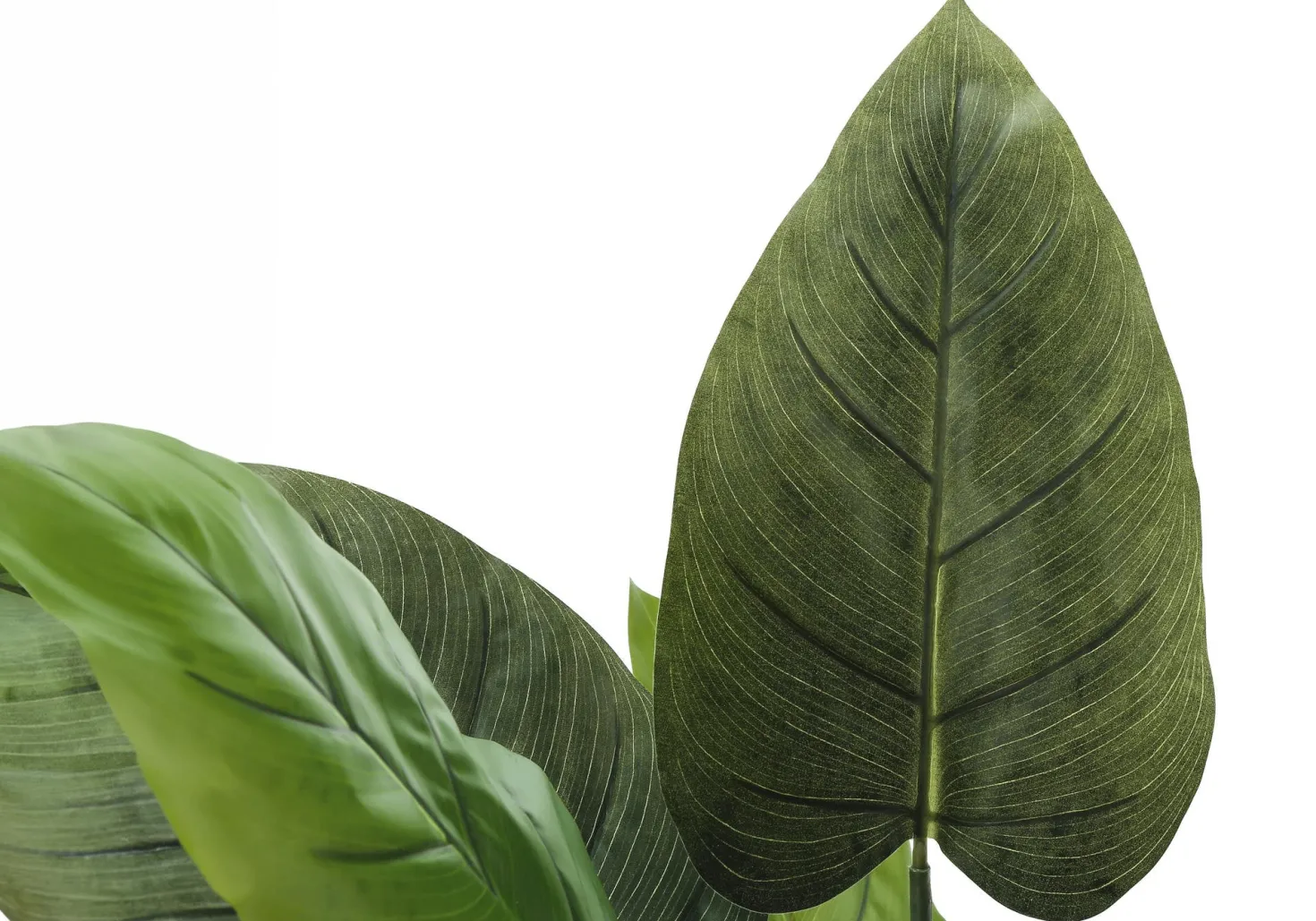 Plante artificielle - 37"H, aureum intérieur pot 6"