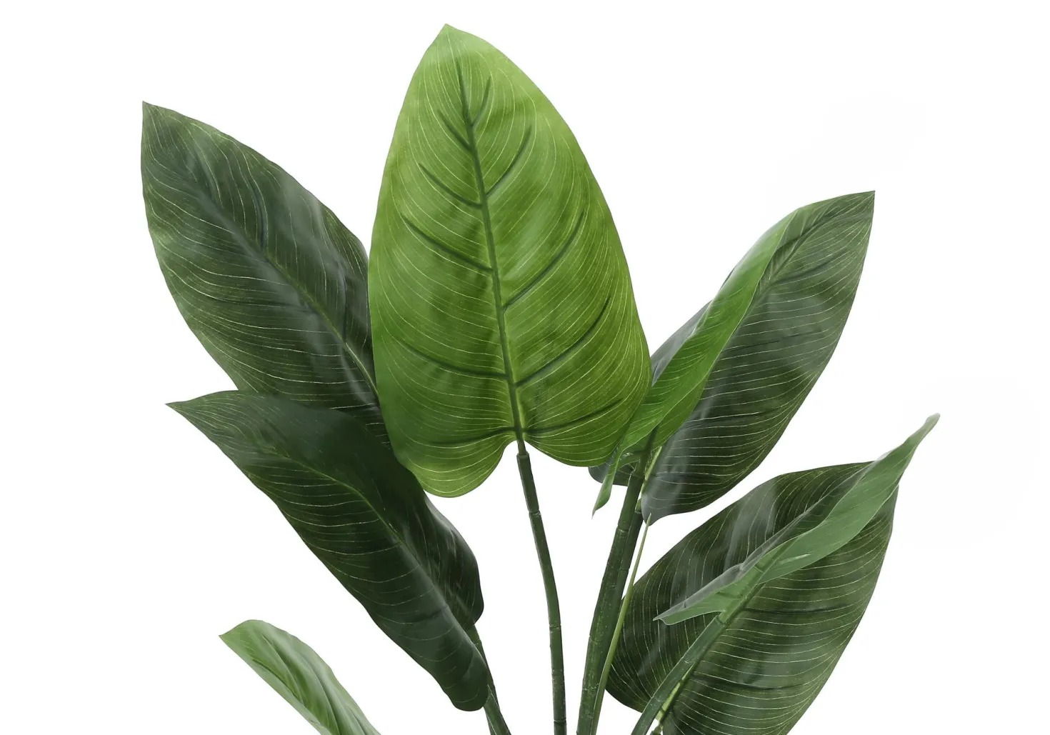 Plante artificielle - 37"H, aureum intérieur pot 6"