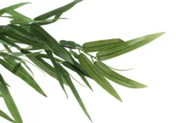 Plante artificielle - 50