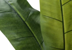 Plante artificielle - 55