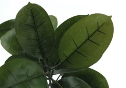 Plante artificielle - 52
