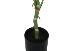 Plante artificielle - 54