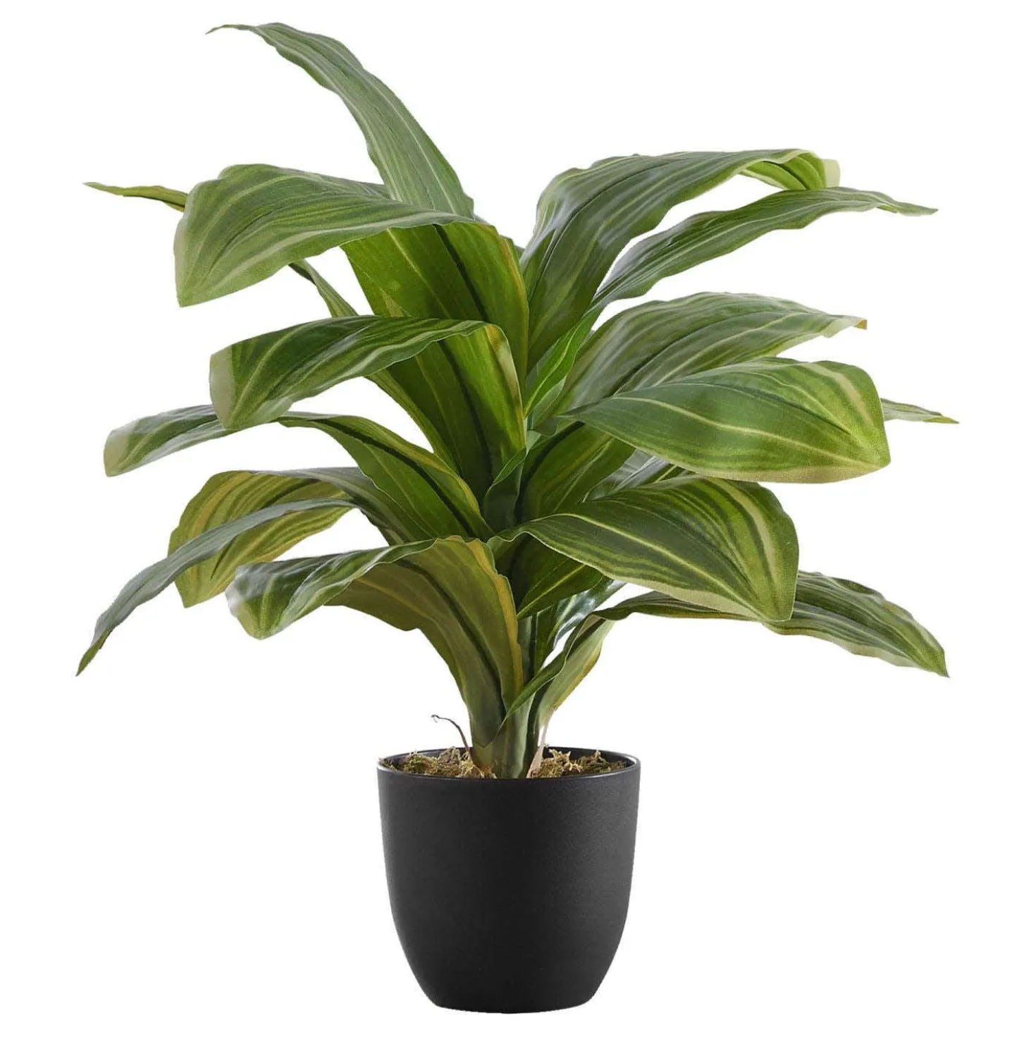 Plante artificielle - 17"H, dracaena intérieur pot 4"