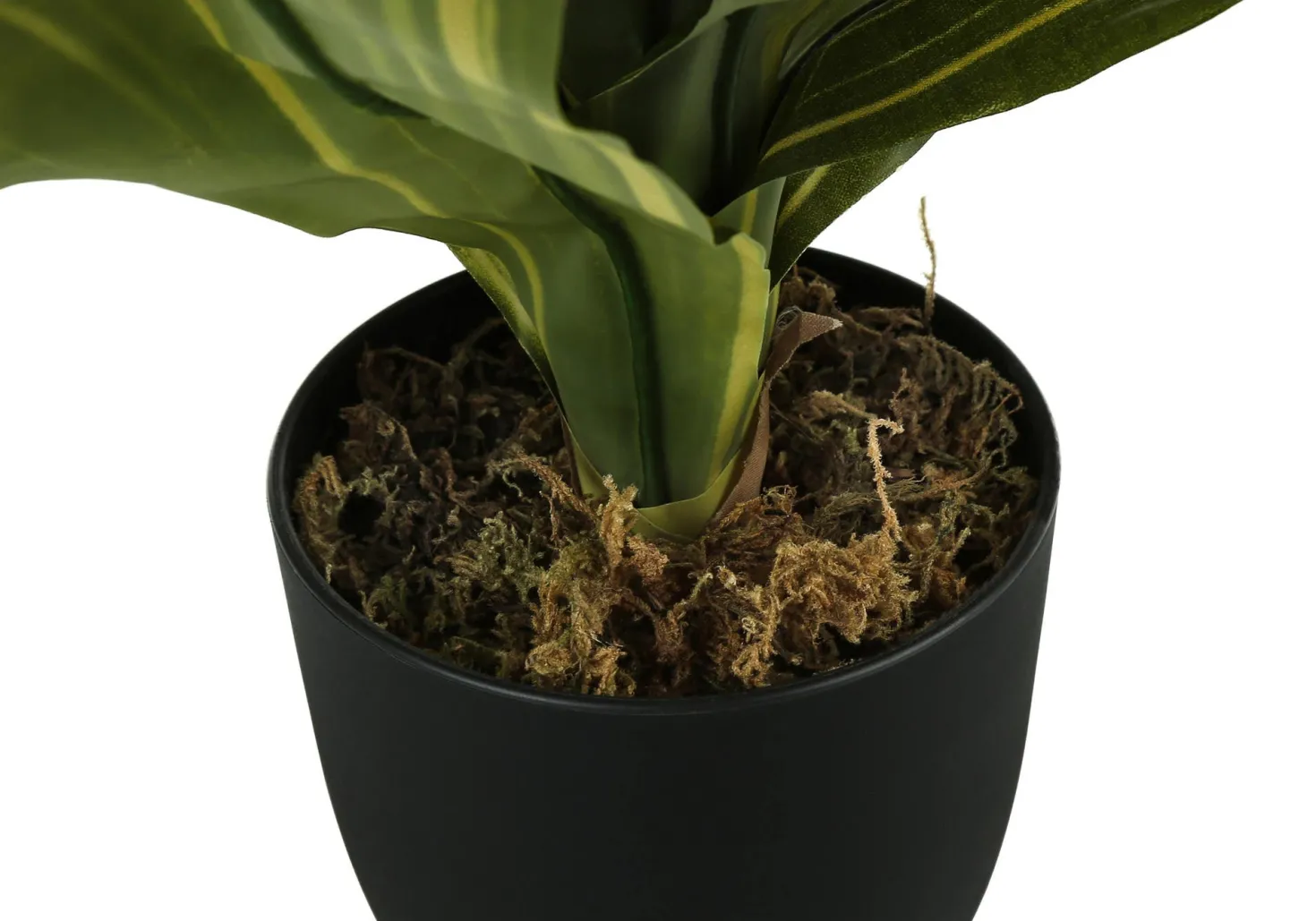 Plante artificielle - 17"H, dracaena intérieur pot 4"