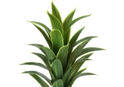 Plante artificielle - 47