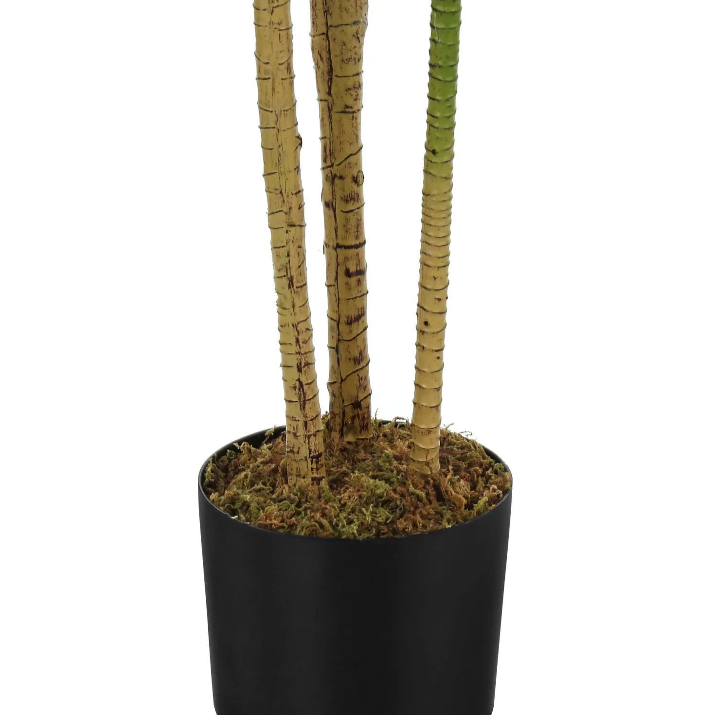 Plante artificielle - 51"H, dracaena intérieur pot 5"