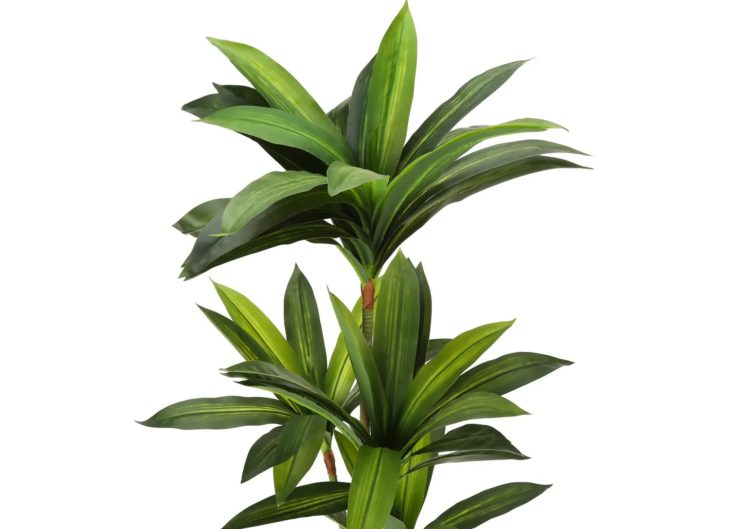 Plante artificielle - 51"H, dracaena intérieur pot 5"