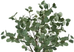 Plante artificielle - 46