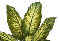 Plante artificielle - 47
