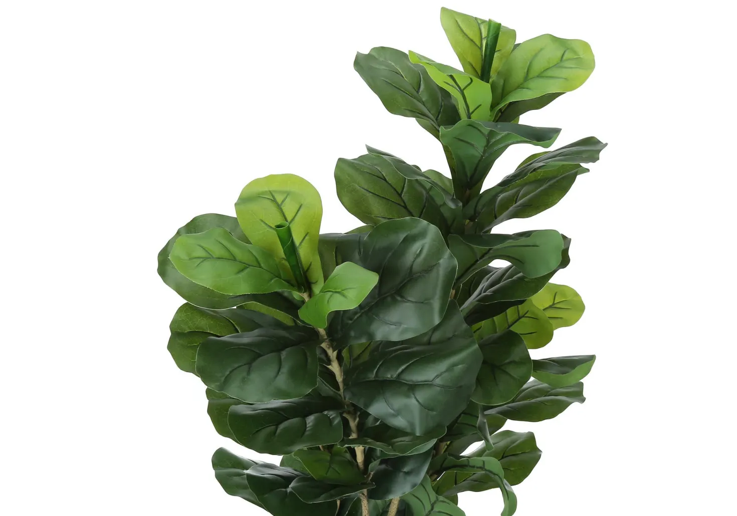 Plante artificielle - 41"H, fiddle intérieur pot 5"
