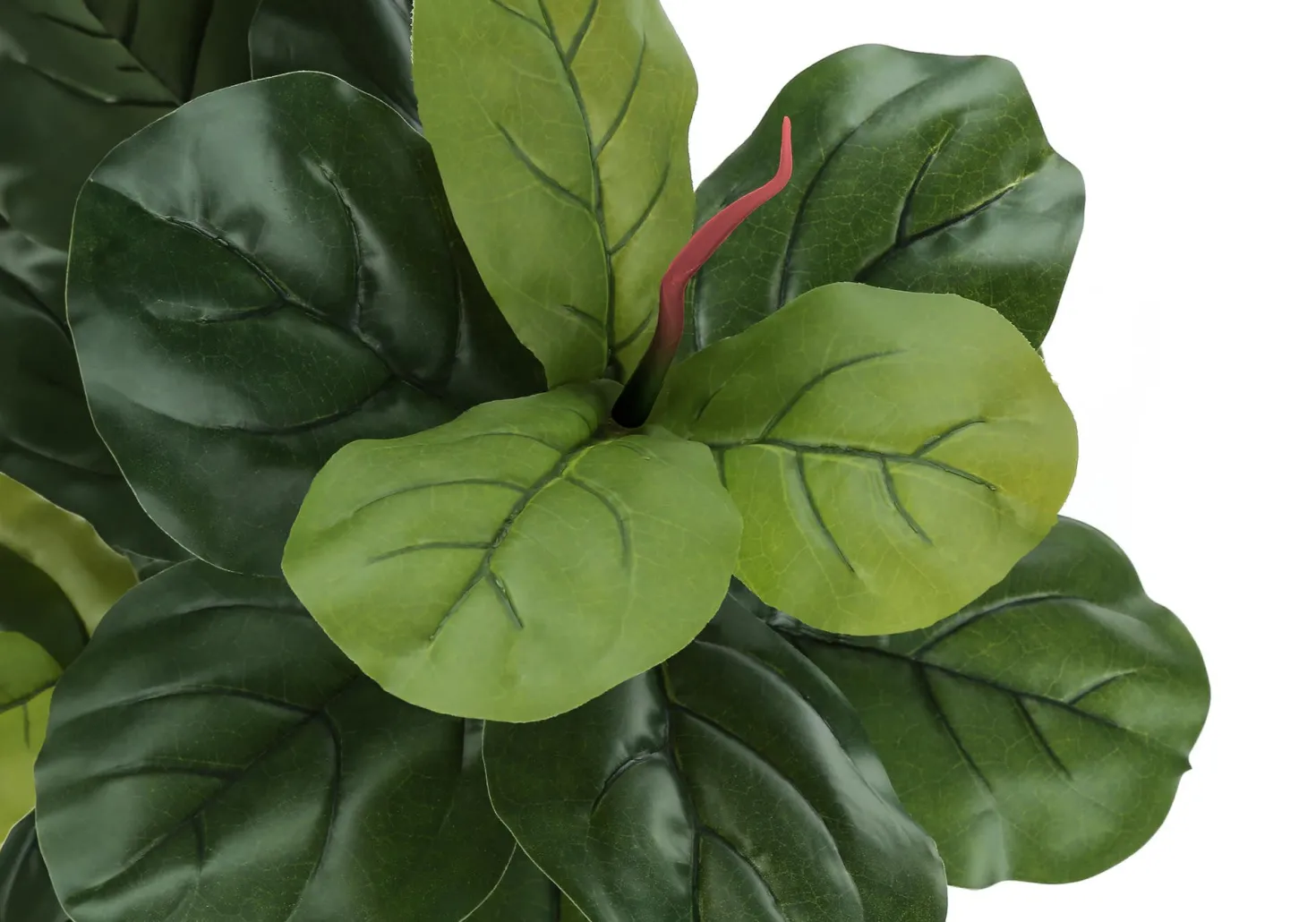 Plante artificielle - 47"H, fiddle intérieur pot 5"
