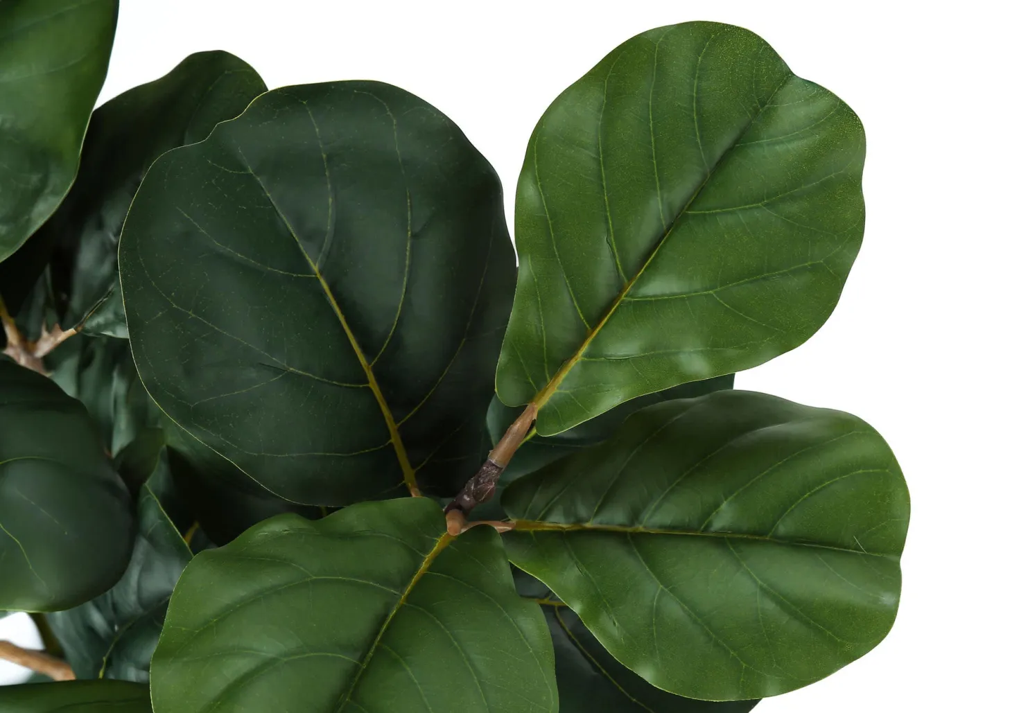 Plante artificielle - 32"H, figuier intérieur pot 6"