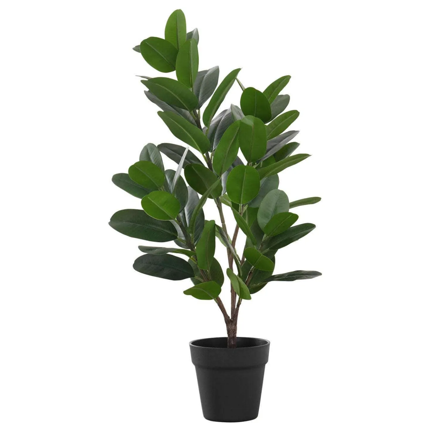 Plante artificielle - 28"H, garcinia intérieur pot 5"
