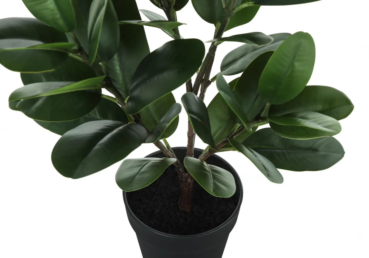 Plante artificielle - 28"H, garcinia intérieur pot 5"