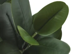 Plante artificielle - 31