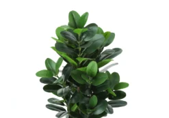Plante artificielle - 31