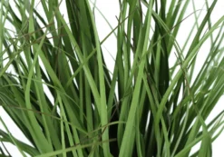 Plante artificielle - 23