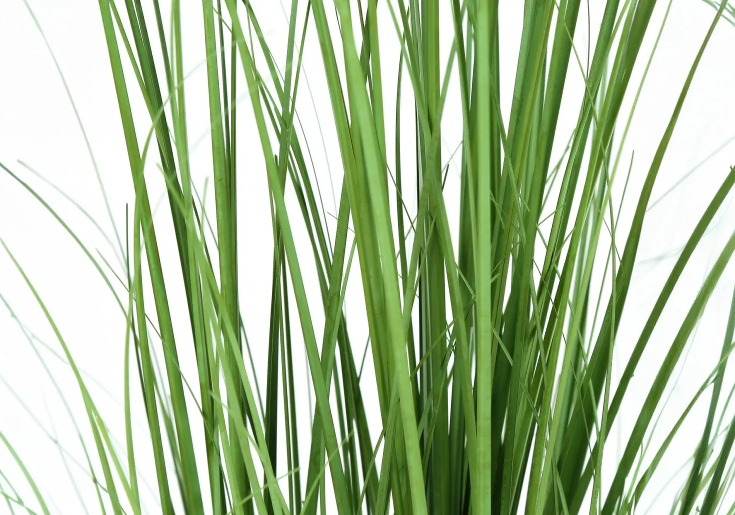 Plante artificielle - 47"H, gazon intérieur pot 5"