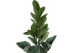 Plante artificielle - 20