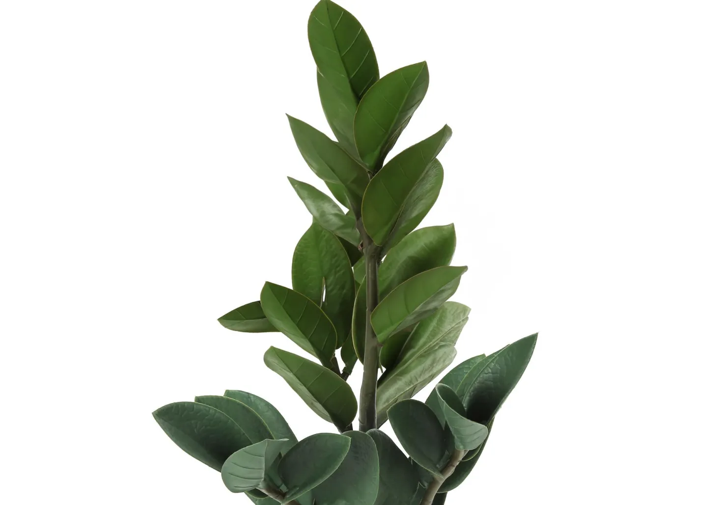 Plante artificielle - 20"H, zz intérieur pot ciment 5"