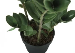 Plante artificielle - 29