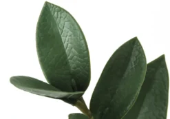 Plante artificielle - 29