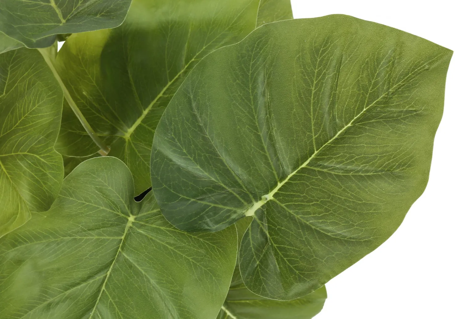 Plante artificielle - 2mcx, 13"H epipremnum pot 4"