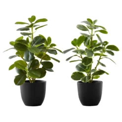 Plante artificielle - 2mcx, 14"H ficus elastica pot 4"