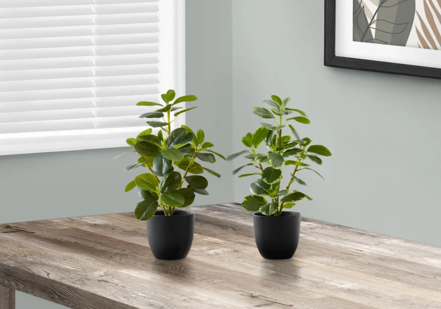 Plante artificielle - 2mcx, 14"H ficus elastica pot 4"