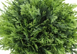 Plante artificielle - 3mcx, 5