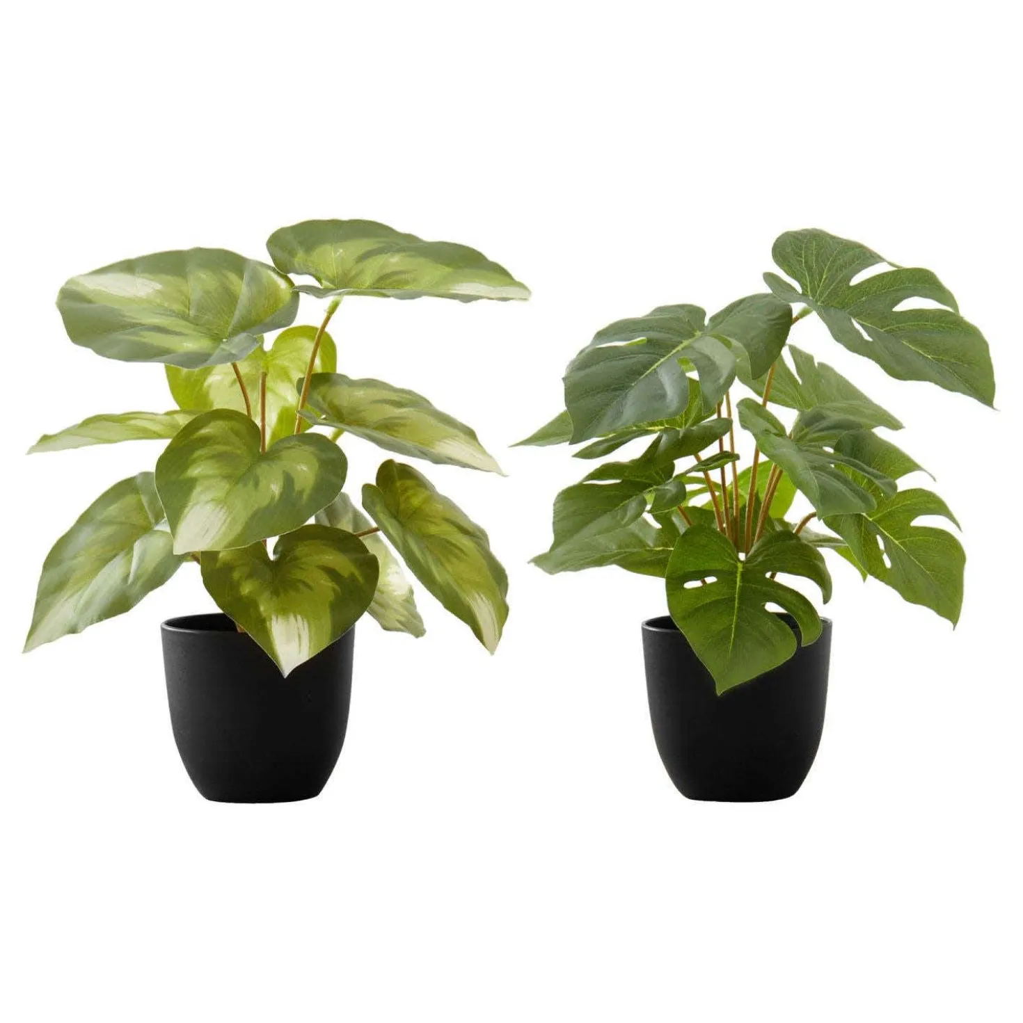 Plante artificielle - 2mcx/ 13"H monstera/calathea pot 4"