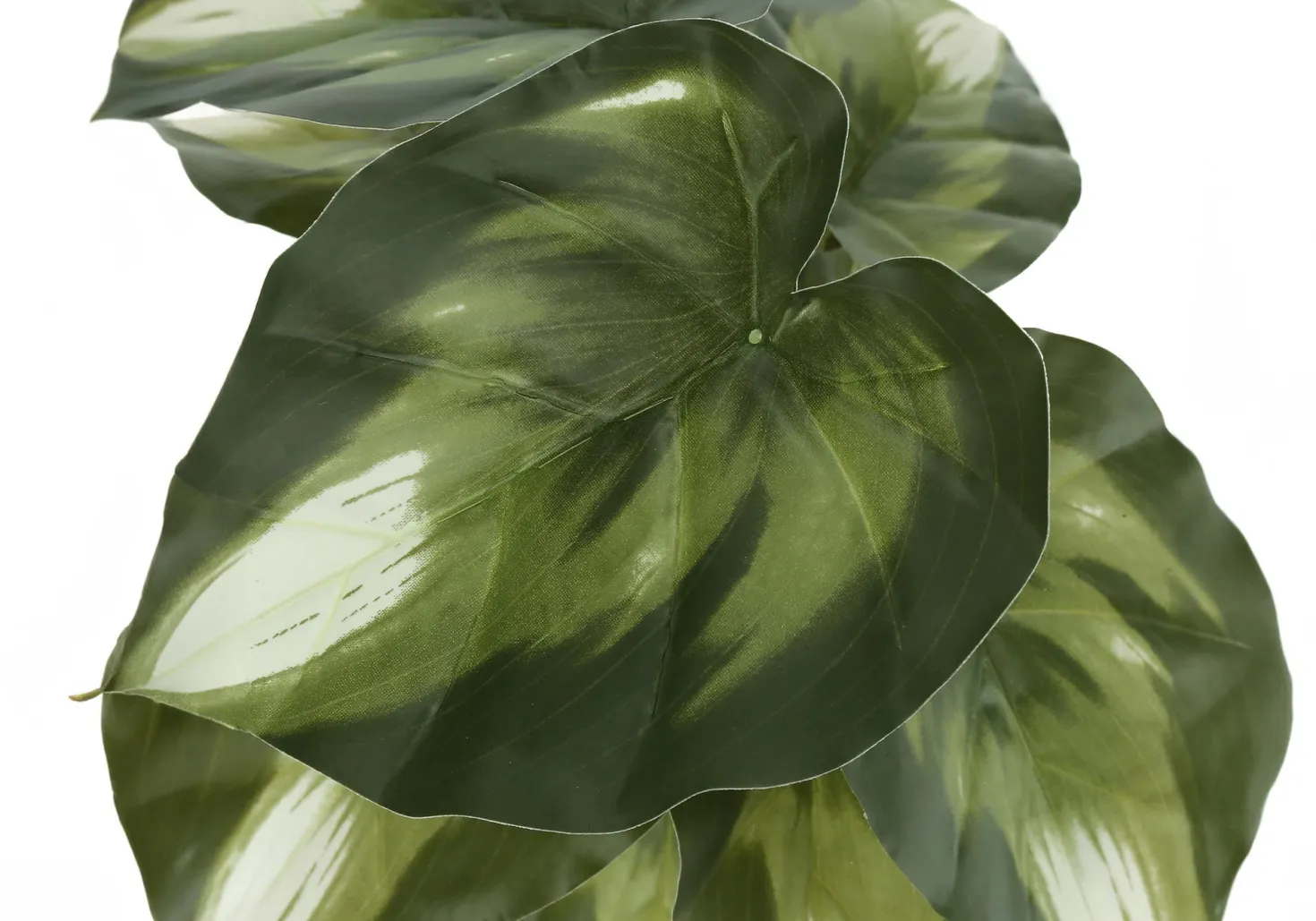 Plante artificielle - 2mcx/ 13"H monstera/calathea pot 4"