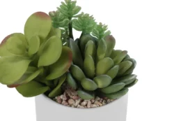 Plante artificielle - 2mcx/7