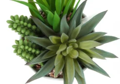 Plante artificielle - 2mcx/7