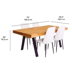Table avec 4 chaises - blanc