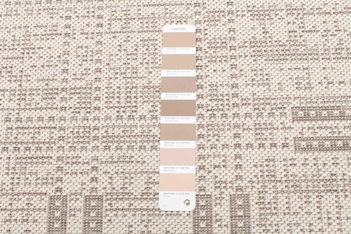 Tapis intérieur ou extérieur - 4 x 6