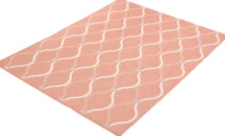 Tapis intérieur ou extérieur - 5 x 7