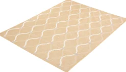 Tapis intérieur ou extérieur - 7 x 10