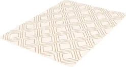 Tapis intérieur - 5 x 7