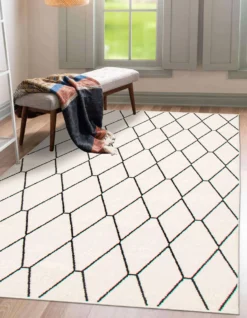 Tapis intérieur - 5 x 7