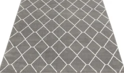 Tapis intérieur - 7 x 10