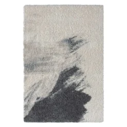 Tapis 5 X 8 pi