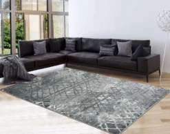 Tapis 8 X 10 pi